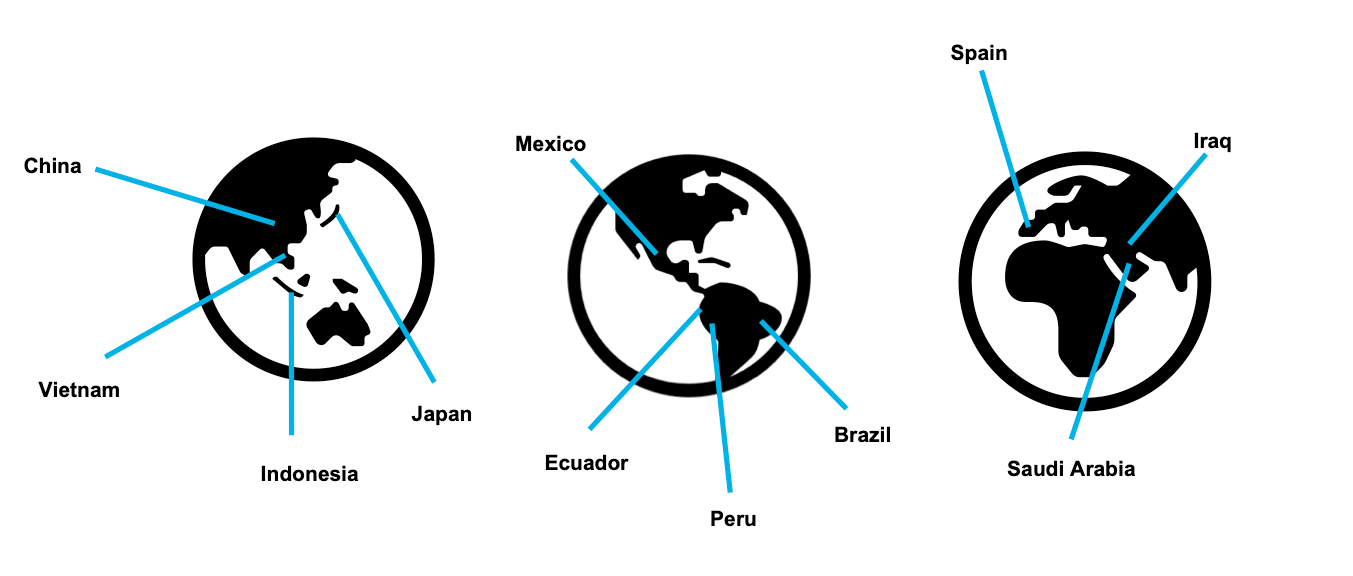 partner global launch programs